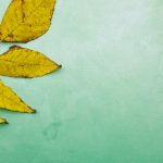 菠萝视频app下载 8kxor