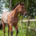 唐人街影院app:畅享全球华语电影的最佳选择与体验 1fua5ktt