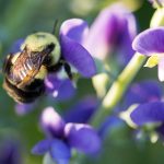 探索同人漫画印刷的艺术与市场趋势 zt55vg8i6